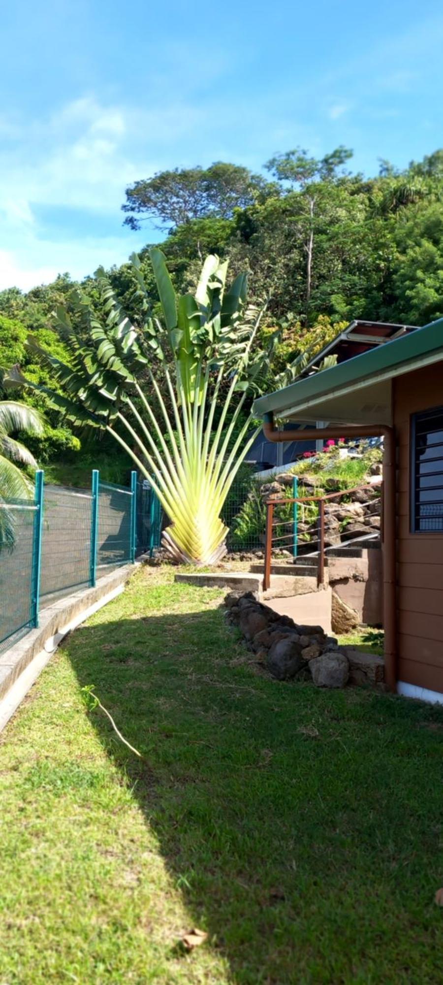 Fare Anuanua Bed & Breakfast Haapiti ภายนอก รูปภาพ